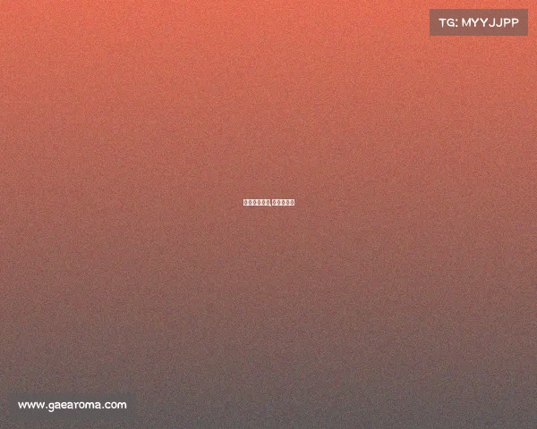 女足什么赛事,女足的赛事