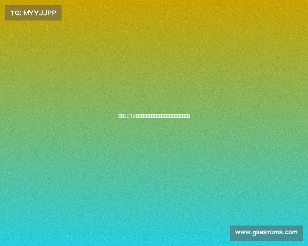 梅西2016年国家队美洲杯决赛失落巴萨西甲夺冠征程回顾